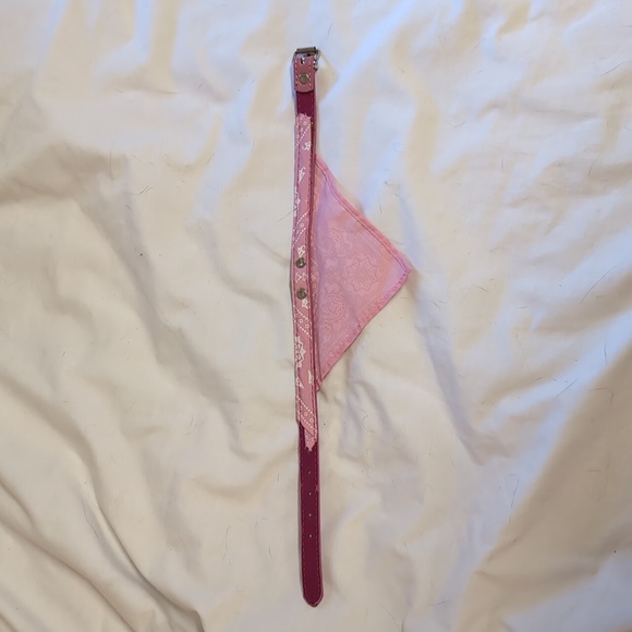 Small dog/ large cat collar and bandana - Picture 2 of 3